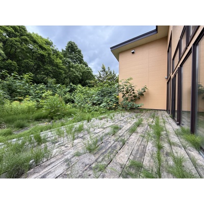 テラス