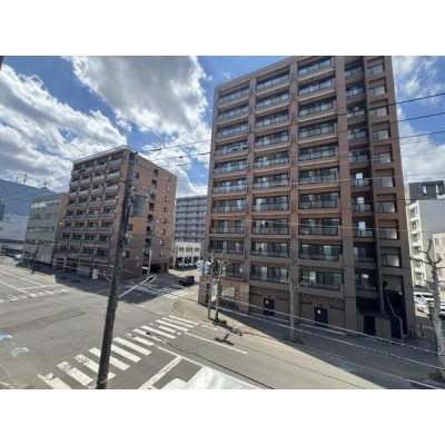 全面道路が広く、解放感にある眺望です。