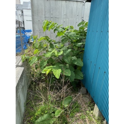 物件写真 13
