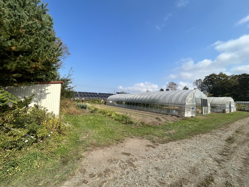 千歳市祝梅【家庭菜園用地】