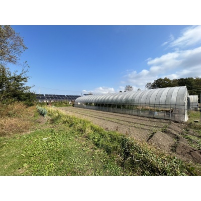 千歳市祝梅 約160坪売土地 現地写真