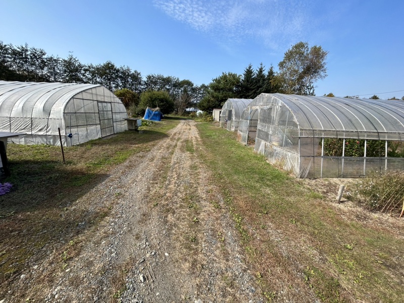 千歳市祝梅 約160坪売土地 現地写真 前面道路