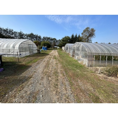 千歳市祝梅 約160坪売土地 現地写真 前面道路