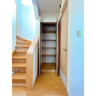 階段横収納です。奥行もあるので衣類だけでなく掃除道具などを…