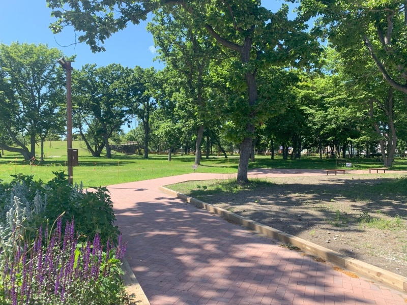 恵庭ふるさと公園　約520ｍ