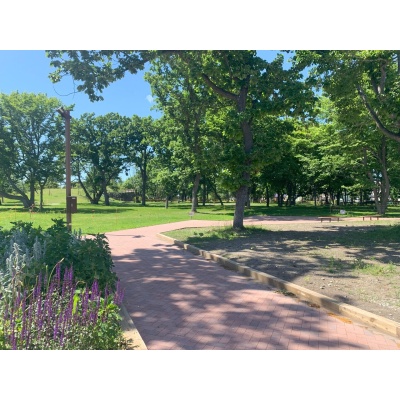 恵庭ふるさと公園　約520ｍ