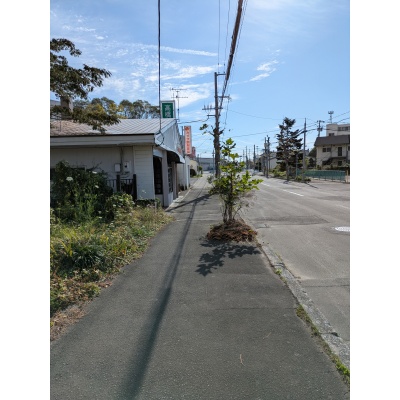 物件写真 5