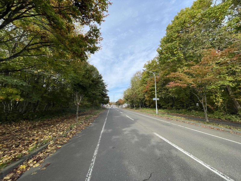 前面道路