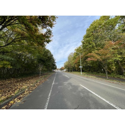 前面道路