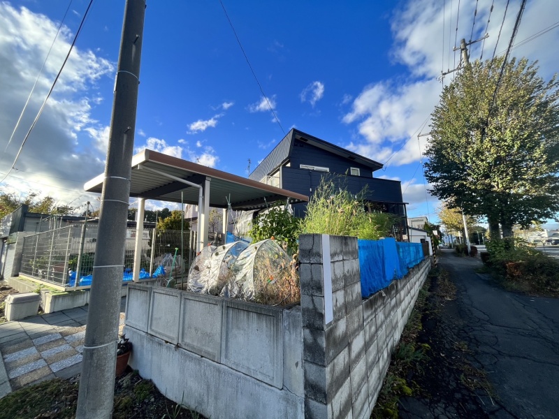 現地写真