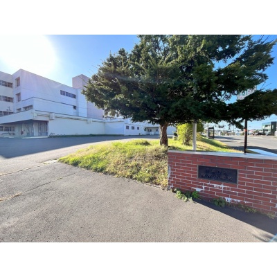 桜木小学校　約550ｍ